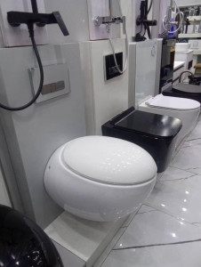 Midas Elipse wall hung Toilet, a luxury, egg-shaped water closet with a concealed cistern