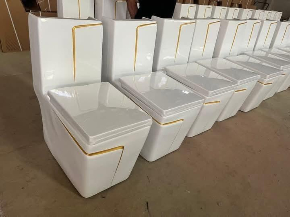 Luxury white ceramic one-piece toilet featuring distinct gold lines for an artistic flair