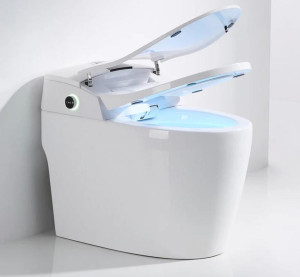 Smart toilet bidet