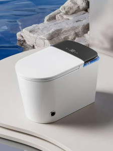 item is a modern smart toilet, such as the floor Mounted Water closet
