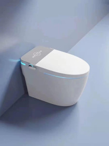 Smart Toilet 