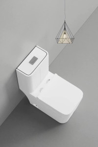 Modern White Ceramic one-piece toilet 