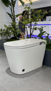 Electronic Smart Toilet with integrated bidet functionality