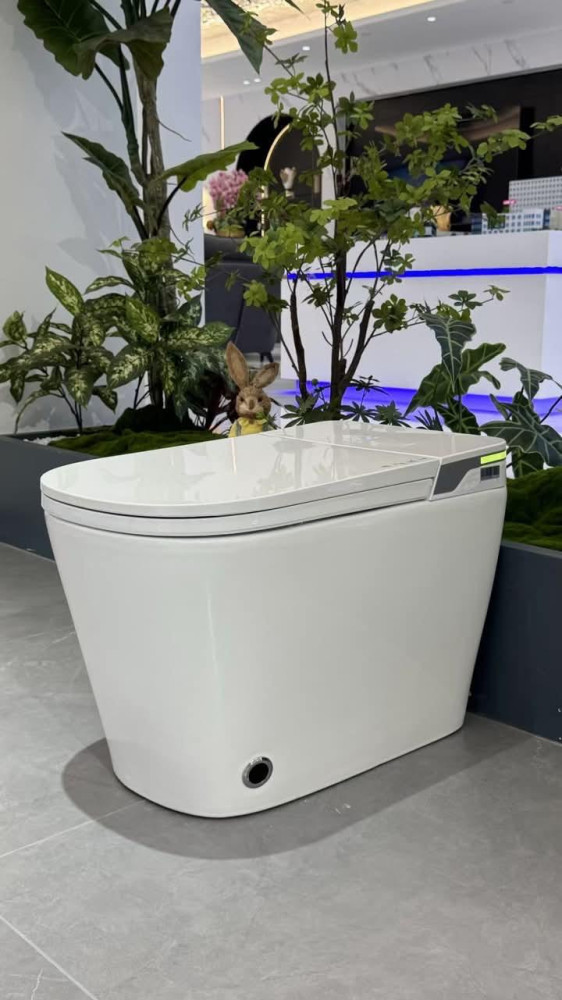 Electronic Smart Toilet with integrated bidet functionality