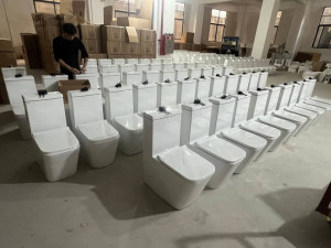 White ceramic washdown one-piece toilets