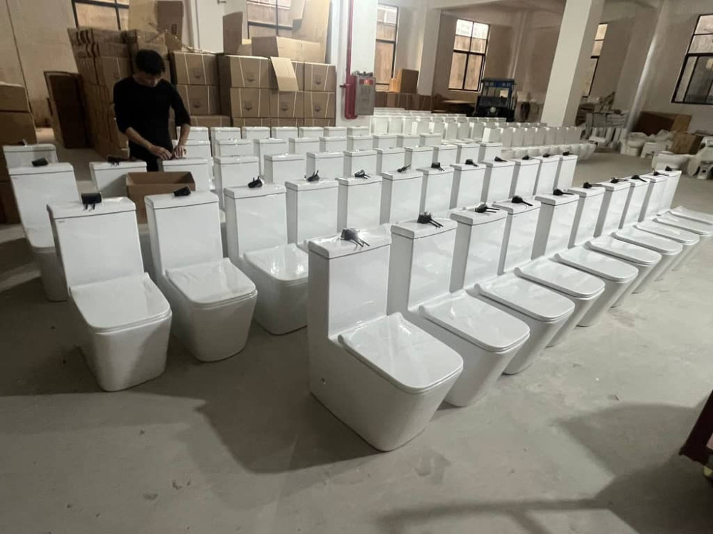 White ceramic washdown one-piece toilets