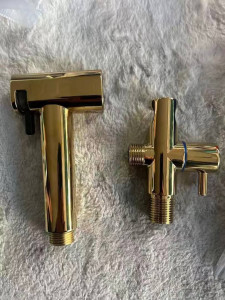 brass handheld bidet sprayer kit with a titanium gold finish