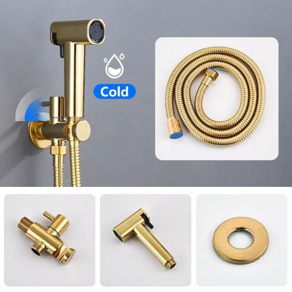 gold-finished wall-mounted hadnheld bidet sprayer set