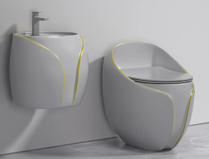 Smart bidet toilet, commonly referred to as an intelligent water coset