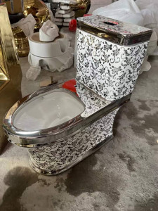 Luxurious toilet and pedestal basin set 