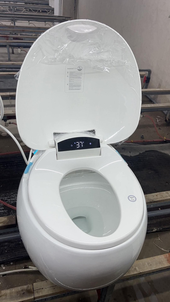 Smart toilet featuring advanced functionality such as bidet sprayer, heated seat, and automatic flushing